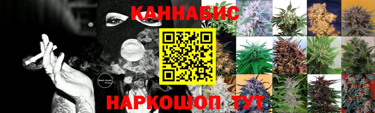 Каннабис планчик Лабытнанги
